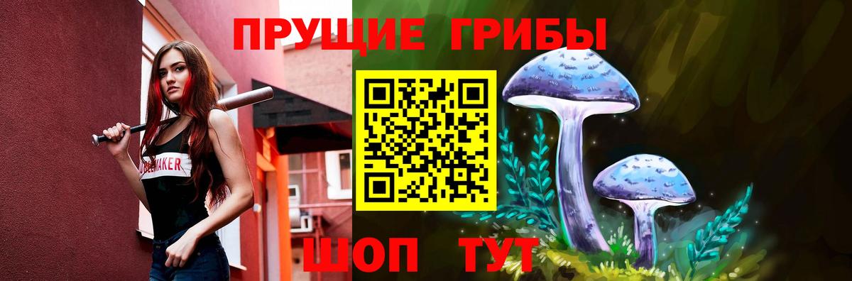 Богородицк  Псилоцибиновые грибы MAGIC MUSHROOMS  Вход с VPN 